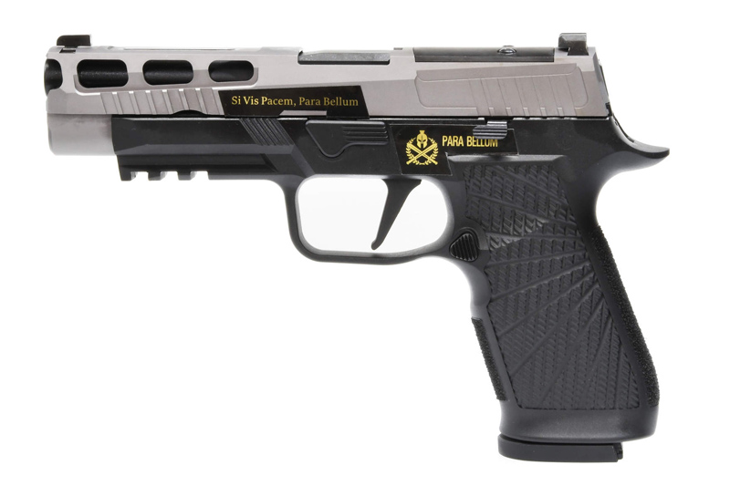 Para Bellum P320 PRO WC (Wilson combat) Custom 4.7 inch Titanium Gray